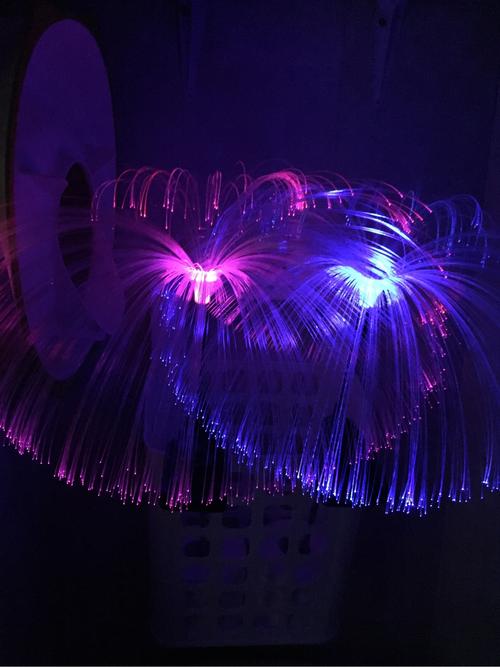 Solar Powered Jellyfish Lights photo review