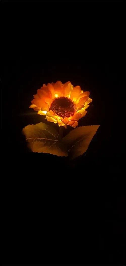 Solar Powered Sunflower Lights - Outdoor Garden Decor photo review