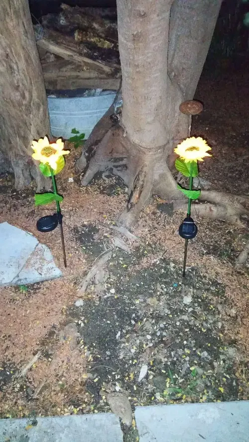 Solar Powered Sunflower Lights - Outdoor Garden Decor photo review