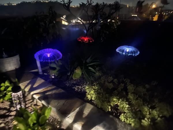 Sparkly Outdoor Lights Solar Fiber Optic Jellyfish Garden Lamp photo review