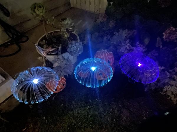 Sparkly Outdoor Lights Solar Fiber Optic Jellyfish Garden Lamp photo review