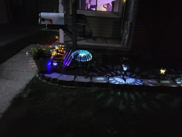 Sparkly Outdoor Lights Solar Fiber Optic Jellyfish Garden Lamp photo review