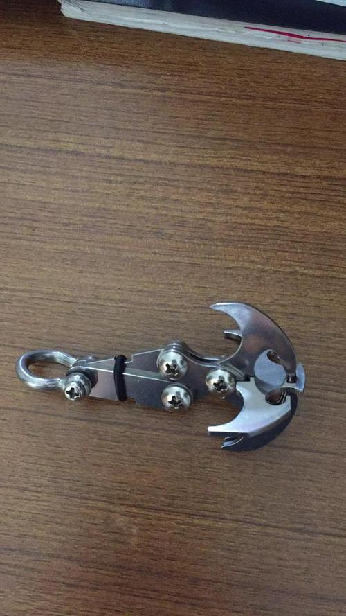 Stainless Steel Folding Gravity Hook photo review