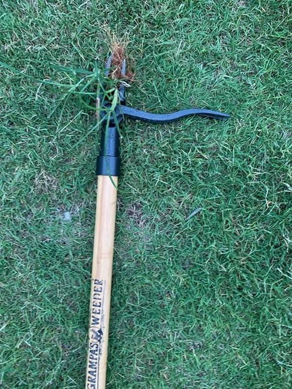 Stand Up Weed Puller Tool With Long Handle, Weeder Tool photo review