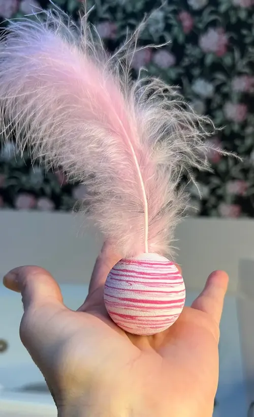 Star Ball Feather Toy for Cats - Funny Throwing Foam Ball with Texture photo review