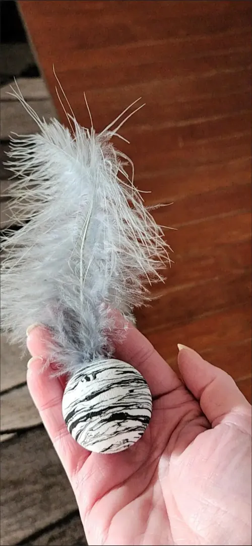 Star Ball Feather Toy for Cats - Funny Throwing Foam Ball with Texture photo review