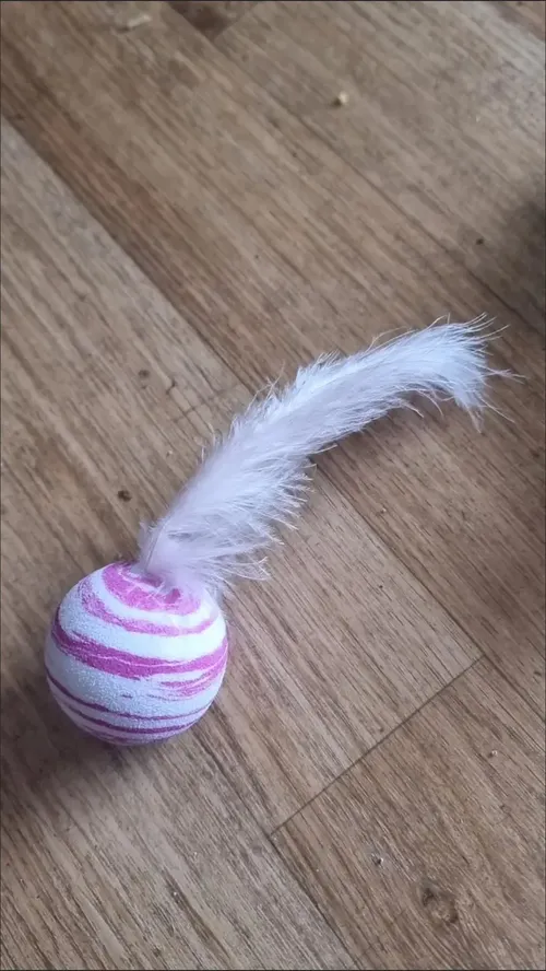 Star Ball Feather Toy for Cats - Funny Throwing Foam Ball with Texture photo review