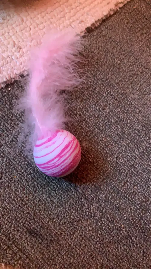 Star Ball Feather Toy for Cats - Funny Throwing Foam Ball with Texture photo review