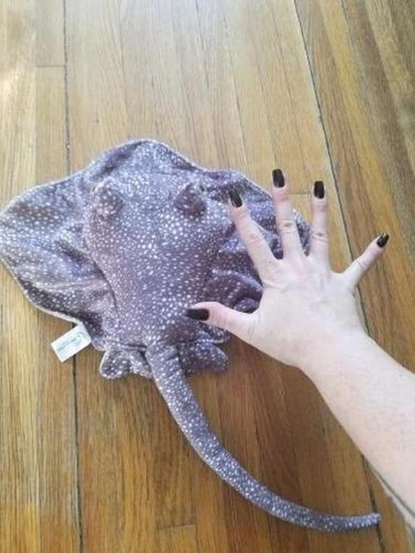 Stingray Soft Stuffed Plush Toy, Simulation Marine Animal Plush Toys photo review