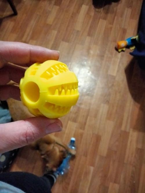 Stretchy Rubber Leaking Ball for Dogs - Funny Pet Tooth Cleaning Toys photo review