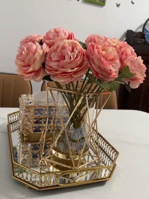 Style Transparent Iron Vase for Home Decor photo review