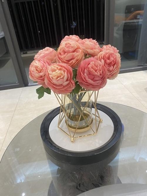 Style Transparent Iron Vase for Home Decor photo review