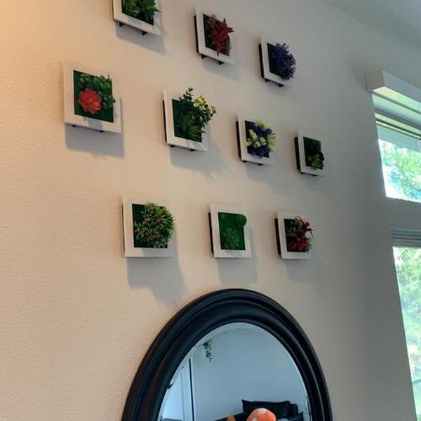 Succulent Wall Hanger Frame photo review