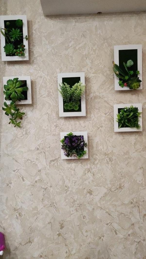 Succulent Wall Hanger Frame photo review