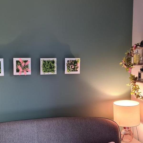 Succulent Wall Hanger Frame photo review