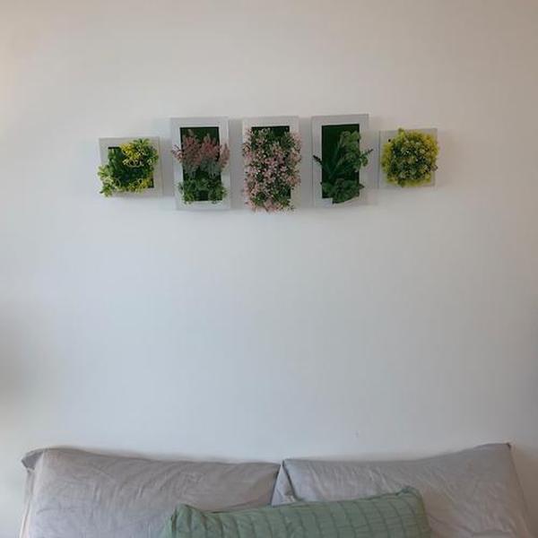 Succulent Wall Hanger Frame photo review