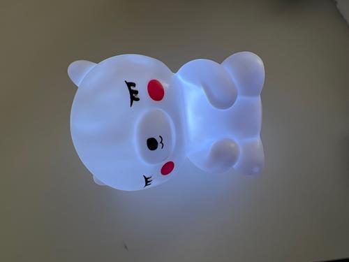 Teddy Night Light photo review