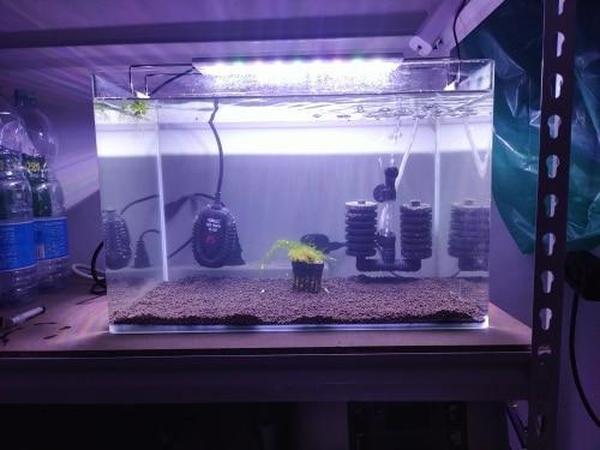 Temperature Adjustable Aquarium Water Heater photo review