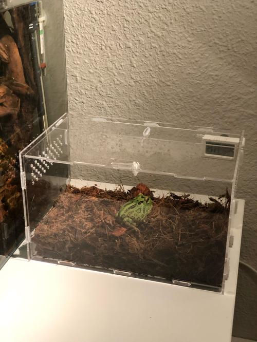 Terrarium Reptile Terra Breeding Stackable Enclosure photo review