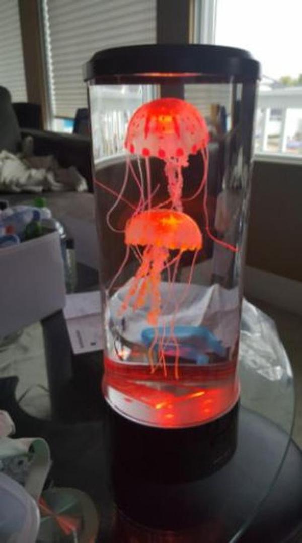 The Hypnotic Jellyfish Aquarium photo review