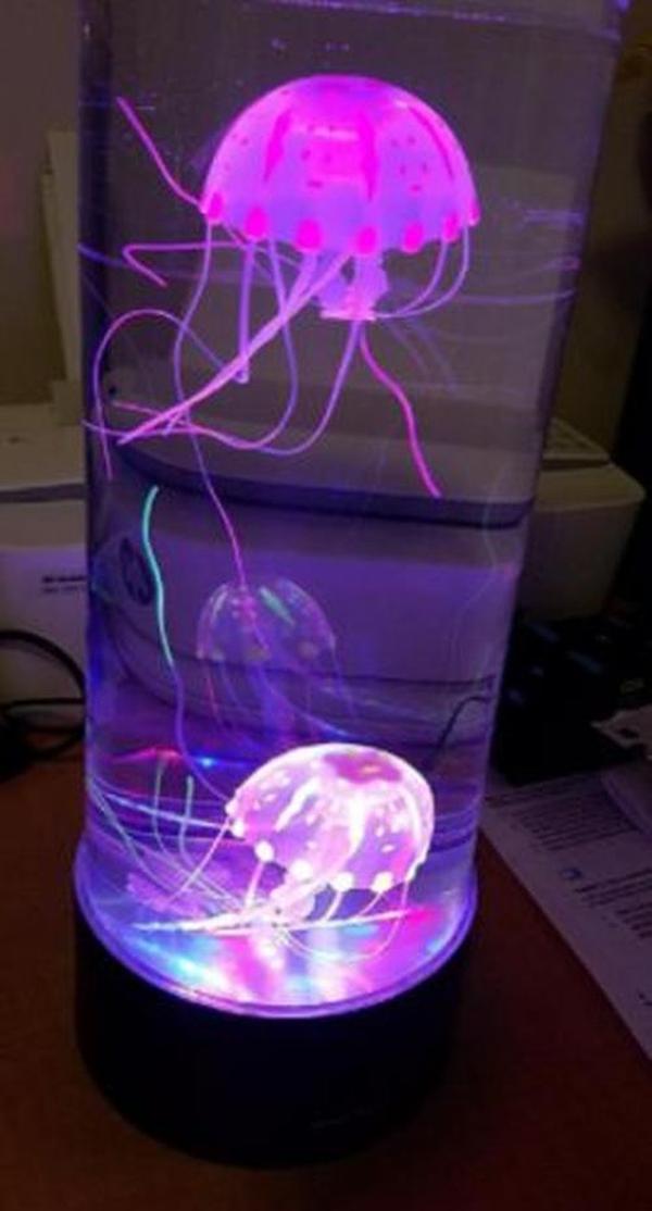 The Hypnotic Jellyfish Aquarium photo review