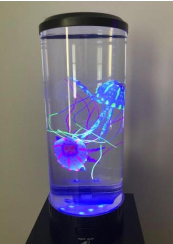 The Hypnotic Jellyfish Aquarium photo review