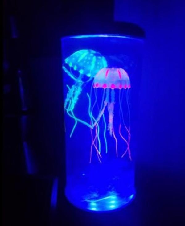 The Hypnotic Jellyfish Aquarium photo review