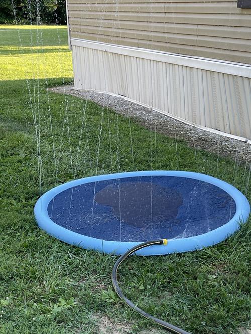 Thick Anti-Slip Sprinkler Swimming Pool for Pets & Kids Summer Outdoor Water Toys photo review