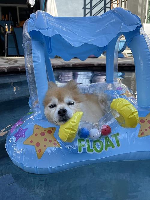 Toddler Swimming Pool Float With Canopy photo review