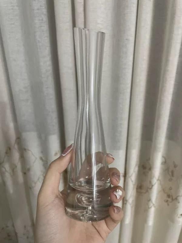 Transparent Glass Flower Vase for Hydroponics Plant Terrarium photo review