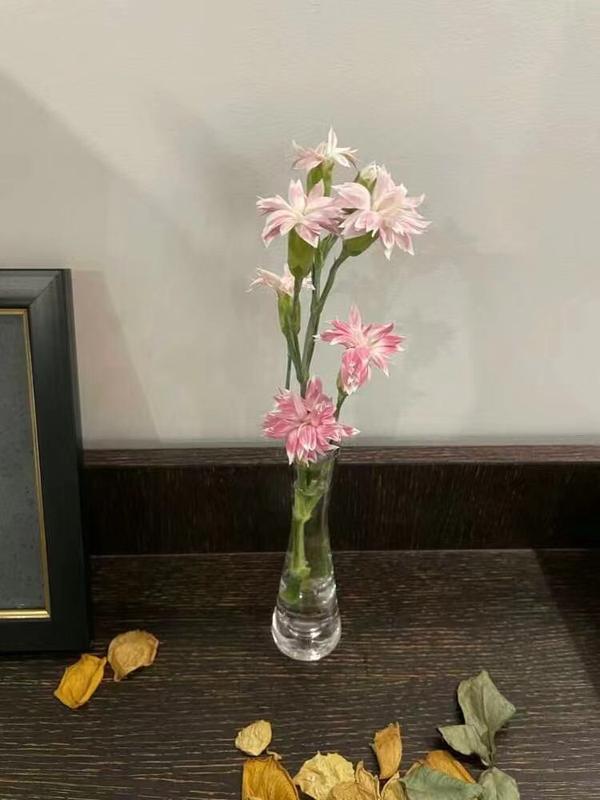 Transparent Glass Flower Vase for Hydroponics Plant Terrarium photo review