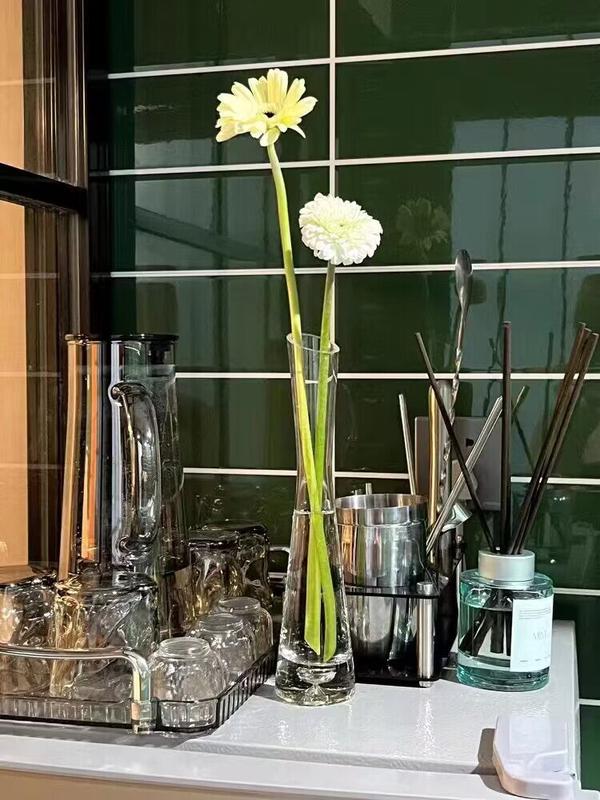 Transparent Glass Flower Vase for Hydroponics Plant Terrarium photo review