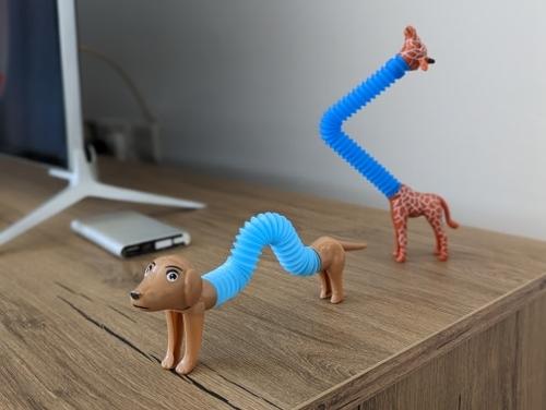 Tube Giraffe Push Pop Bubble Fidget Toys for Kids - Stress Relief & Decompression photo review