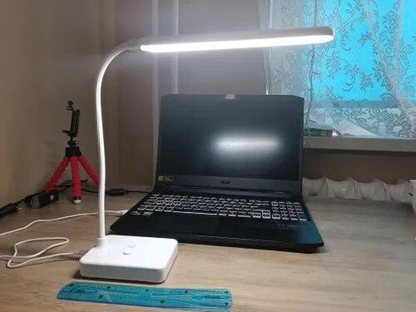 USB Rechargeable Dimmable LED Eye-Protection Desk Lamp with 3 Modes and Foldable Gooseneck for Reading, Studying, and Night Light photo review