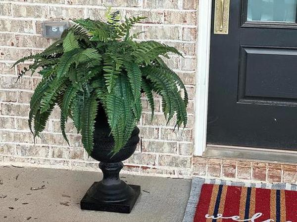 Uv Resistant Lifelike Artificial Boston Fern For Outdoors photo review