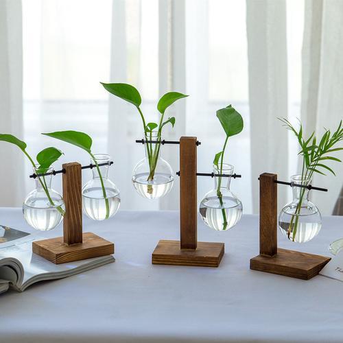 Vintage Terrarium Hydroponic Plant Vases for Home Decor