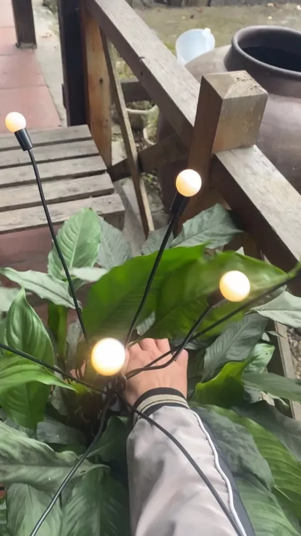 Waterproof Solar Firefly Lights Garden Decoration photo review