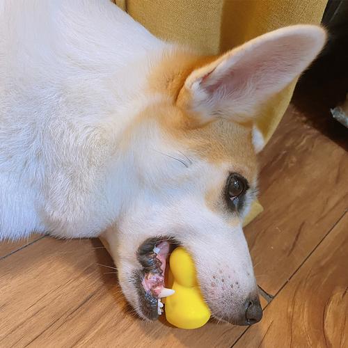 Yellow Duck Chewing Toy for Puppy Teeth Cleaning - Interactive Unzip Squeaky Toy