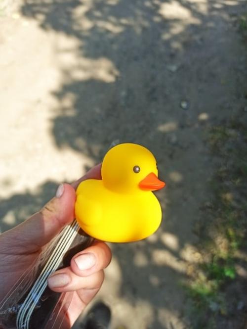 Yellow Duck Chewing Toy for Puppy Teeth Cleaning - Interactive Unzip Squeaky Toy photo review