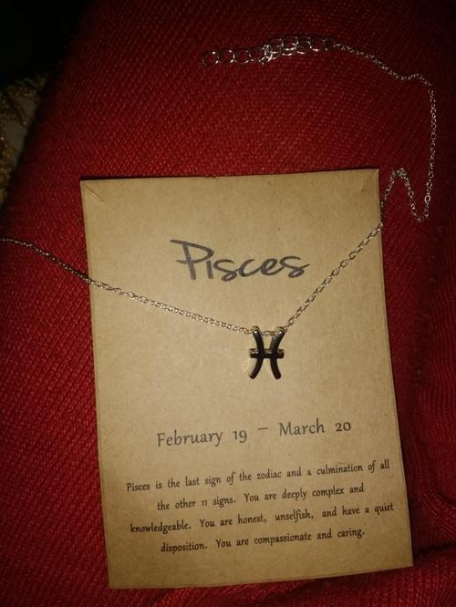 Zodiac Sign Necklace photo review