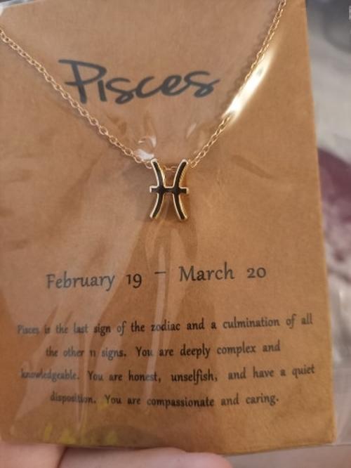 Zodiac Sign Necklace photo review